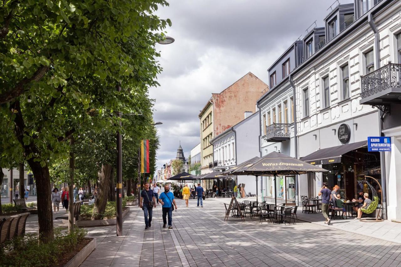 Art & Comfort Home Kaunas Exterior photo